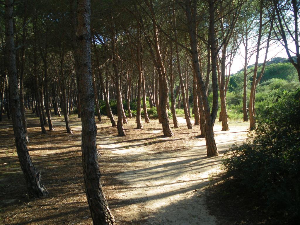 S'Ustiarvu- Nuova Gestione Cala Liberotto Exterior foto